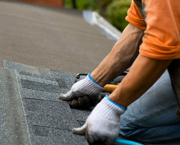 Best Local Roofing Companies  in White Mountain Lake, AZ